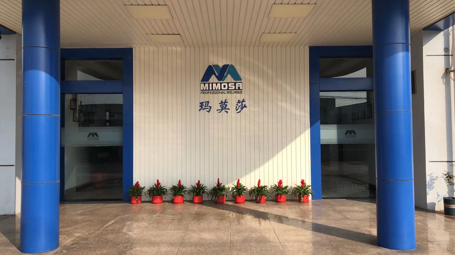 网站-1